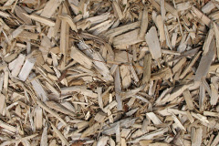 biomass boilers Witheridge